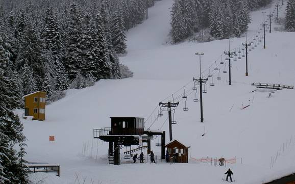 Skifahren bei Government Camp