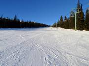 Leichte Piste School House