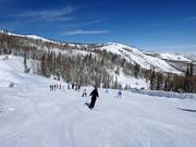 Leichte Piste Bandana
