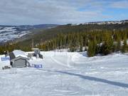 Backyardheisen (N) - Tellerlift