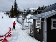 Barnliften - Tellerlift