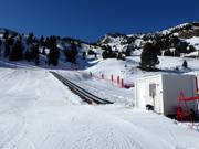 Ampriu Park - Förderband/Zauberteppich