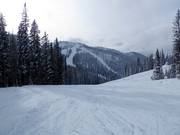 Leichte Piste im Skigebiet Whitewater