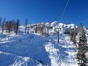 Tiefschneespuren unterhalb der Madritschenbahn