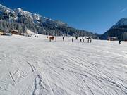 Breite und leichte Piste auf der Ehrwalder Alm