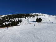 Anfängerpiste an der Mittelstation