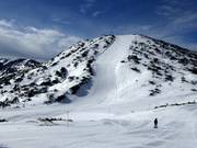 Schwere Abfahrt Steinkogel vorne