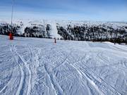 Breite Piste Ravinbacke in Hundfjället