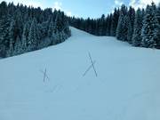 Schützen der Grasnarbe durch Absperrungen