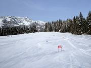 Leichte Piste am Drachenlift II