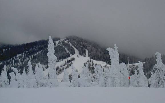 Skifahren bei Sandpoint