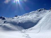 Pulvertraum im freien Skiraum