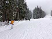 Hirschberglift - Schlepplift mit T-Bügel/Anker