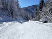 Leichte Talabfahrt (Skiroute) nach Seegatterl