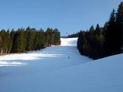 Die Kandahar ist steil