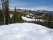 Buckelpiste Bobbie's Runout