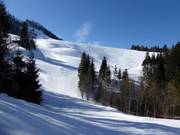 Piste zum Steinling-Schlepplift