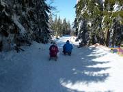 Tipp für die Kleinen  - Rodelbahnen Arber