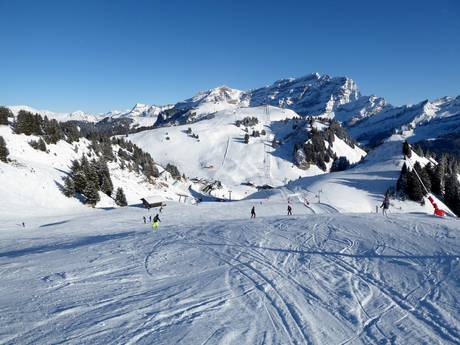 Pistenangebot Waadt – Pistenangebot Villars/Gryon/Les Diablerets