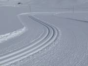 Höhenloipe am Fallbichl