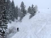 Steiles Gelände an der Sesselbahn Super Condor Express