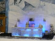 Eisbar in der Skihalle
