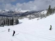 Piste an der Sesselbahn Crest 6