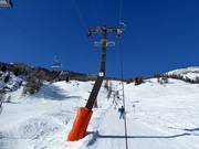 Quartas - Tellerlift