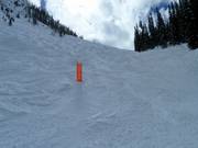 Buckelpiste im Skigebiet von Kicking Horse