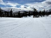 Präparierte Piste im Skigebiet Vemdalsskalet