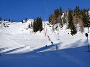 Kogelalmlift - Schlepplift mit T-Bügel/Anker