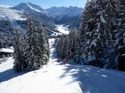 Märchenwald - Schlepplift mit T-Bügel/Anker