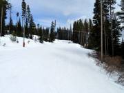 Leichte Abfahrt Woodcutter am Plaza Chair