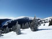 Blick zum Pančićev vrh