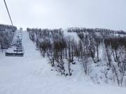 Blick auf die schweren Pisten von der Osthangsbanan