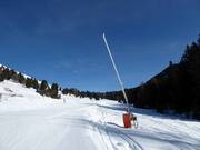 Schneilanze im Skigebiet Jochgrimm