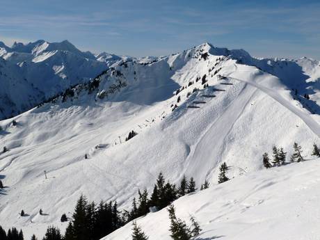Kleinwalsertal: Größe der Skigebiete – Größe Walmendingerhorn/Heuberg – Mittelberg/Hirschegg