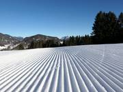 Sehr gute Pistenpräparierung am Söllereck