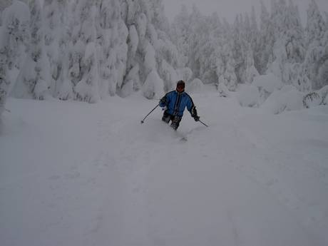 Pistenangebot Cascade Range – Pistenangebot Mt. Bachelor