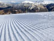 Frische Rillen im Schnee