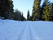 Loipe im Skigebiet Černá hora