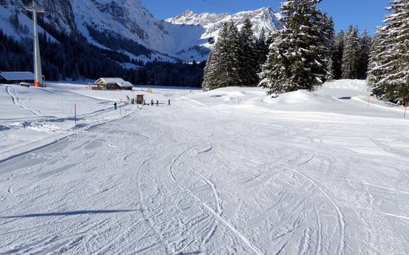 Skigebiete für Anfänger im Kanton Obwalden – Anfänger Titlis – Engelberg