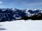 Asterabfahrt am Kohlmais