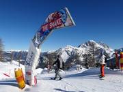 Tipp für die Kleinen  - The Snake