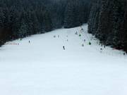 Mittelschwere Pisten am Muli 2