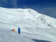 Blick auf die Tiefschneepisten am Lavey