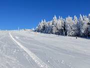 Leichte Piste am Almwiesenlift