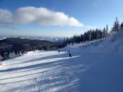 Leichte Hallerhausabfahrt Nr. 6