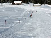Kleinkinderlift Zinggen - Seillift/Babylift mit niederer Seilführung