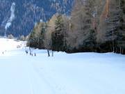 Temblerlift - Tellerlift